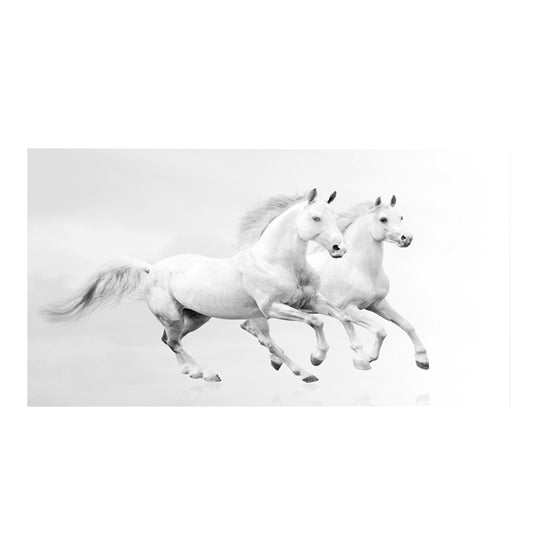 Two White horses