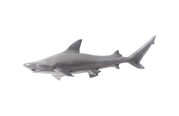 Black Tip Reef Shark Polished Aluminum