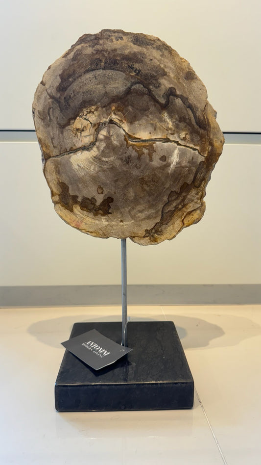 Petrified Wood Sculpture